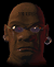 Terranface